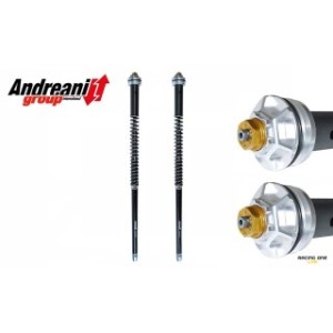 Cartuccia idraulica forcella ANDREANI MISANO EVO per DUCATI SPORT CLASSIC / GT 1000 06 -- 10 regolabile in compressione ed estensione completa di molle