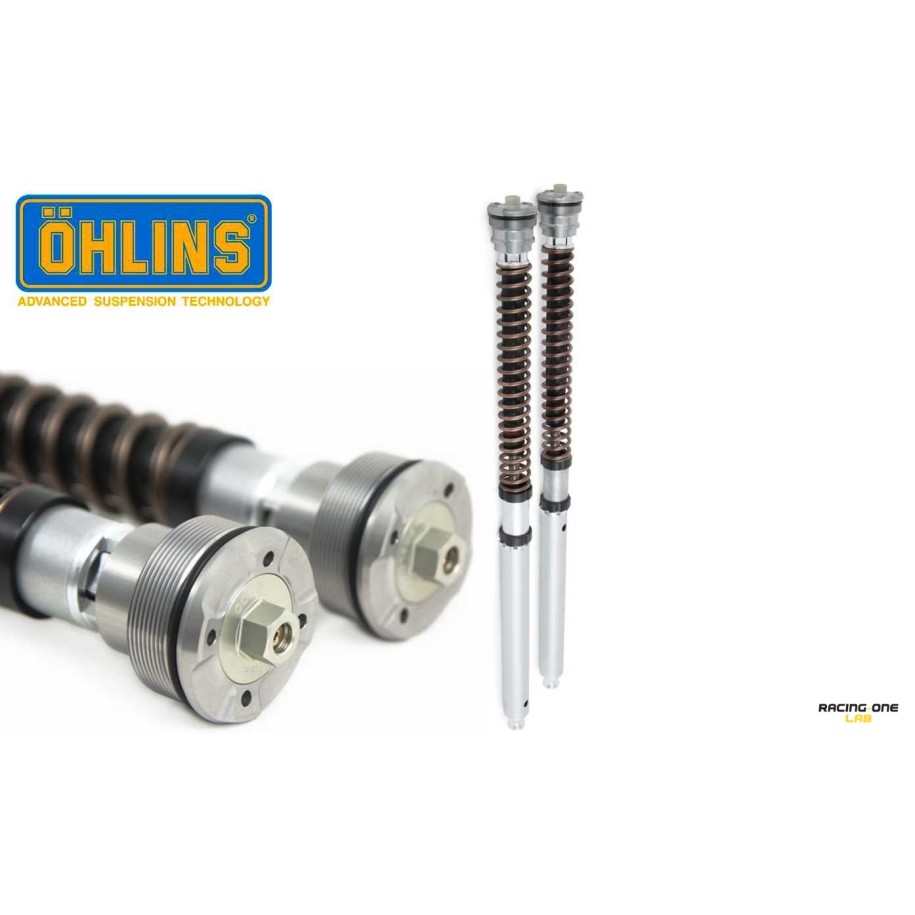 Cartuccia forcella anteriore OHLINS NIX 30 per KAWASAKI Z 900 17 -- 23 pistoni da 30mm regolabile in compressione ed estensione ( Senza Molle )