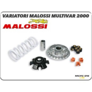 Variatore multivar 2000 con rulli monolitici e boccola di scorrimento in acciaio rettificato